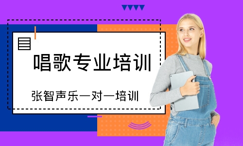 濟(jì)南張智聲樂(lè)一對(duì)一培訓(xùn)