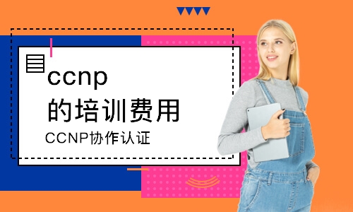 深圳ccnp的培訓(xùn)費用