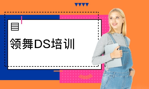 西安领舞DS培训