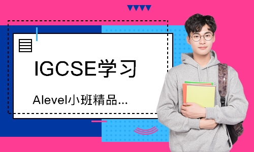 長沙Alevel小班精品課