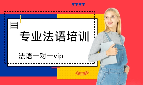 成都法語一對一vip