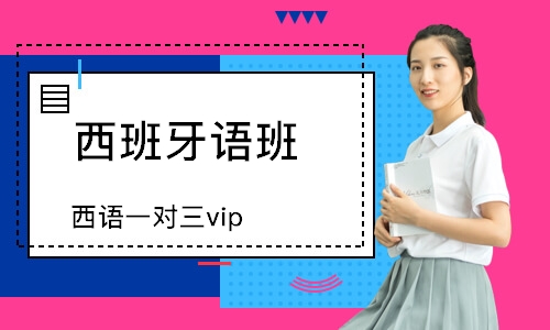 成都西語一對三vip