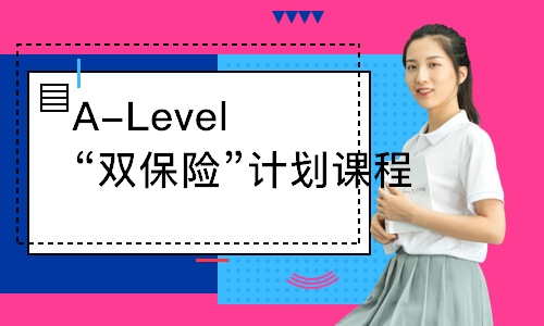 廣州A-Level“雙保險”計劃課程