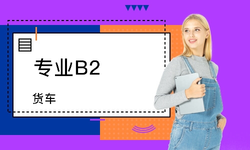 專業B2（貨車）