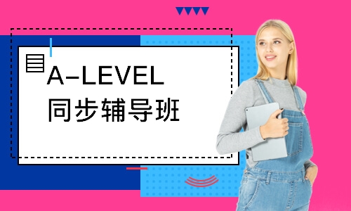 濟南A-LEVEL同步輔導班