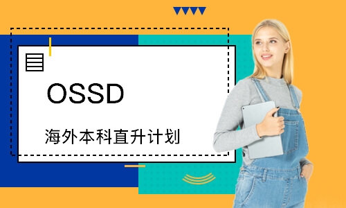 OSSD（海外本科直升计划）