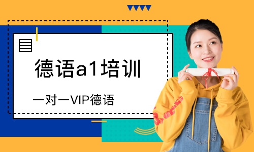 宁波一对一VIP德语