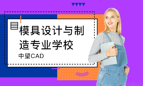 大連中望CAD