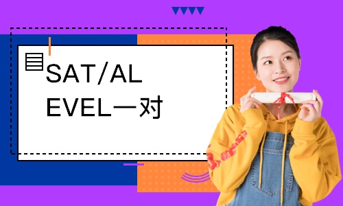 SAT/ALEVEL一對(duì)一中級(jí)班