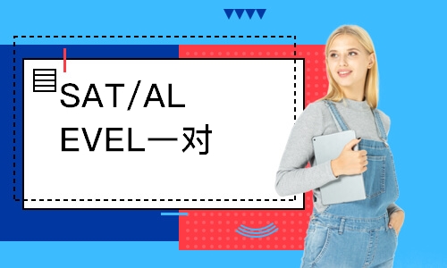 SAT/ALEVEL一對(duì)一單項(xiàng)班