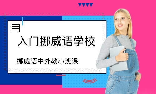 深圳挪威語中外教小班課