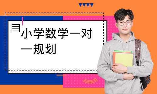 小学数学一对一规划