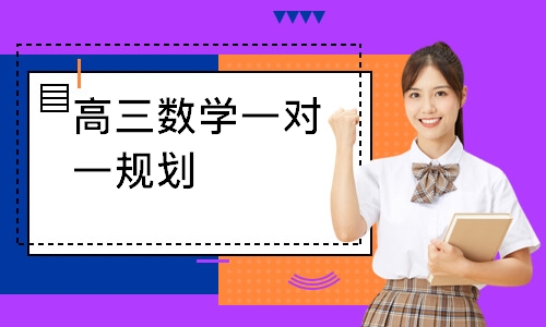高三数学一对一规划