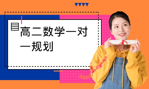 高二数学一对一规划