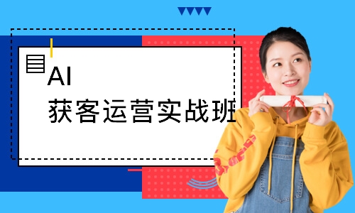 AI获客运营实战班