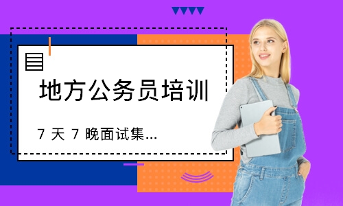 7 天 7 晚面试集训营