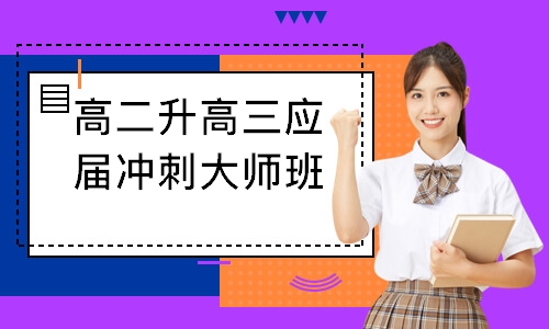 高二升高三应届冲刺大师班
