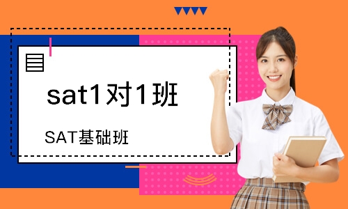 石家莊sat1對1班