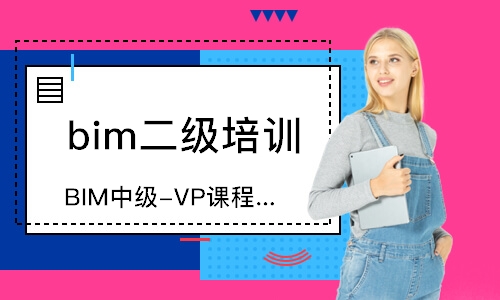 合肥BIM中級-VP課程（外教班）