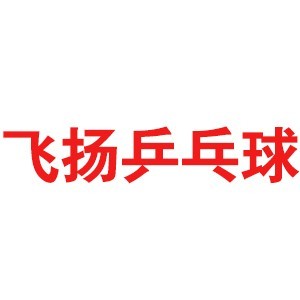 飛揚(yáng)乒乓球培訓(xùn)