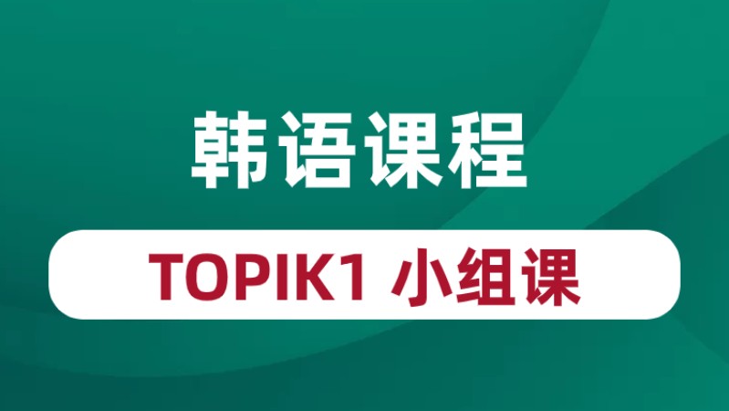 TOPIK 1小组课