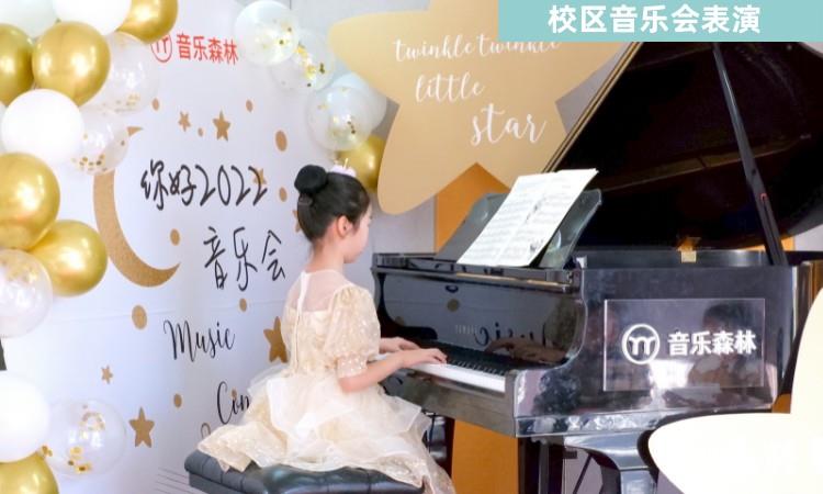 校区音乐会表演