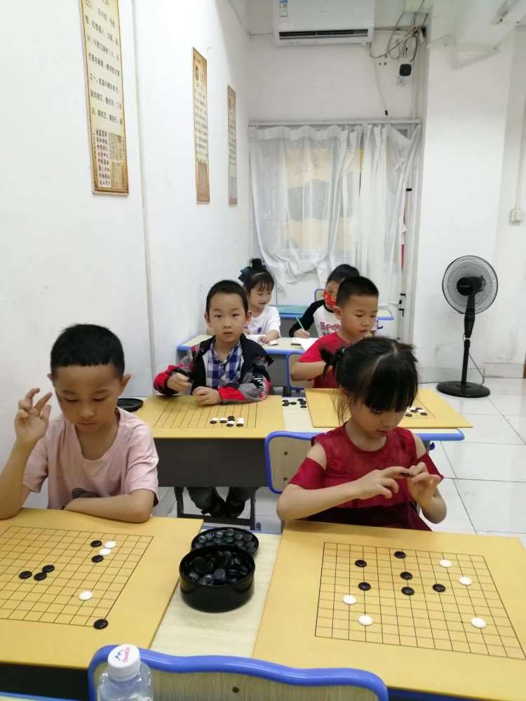 廈門少兒圍棋班培訓