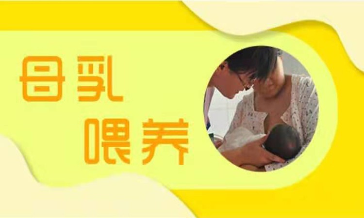 母乳喂養(yǎng)