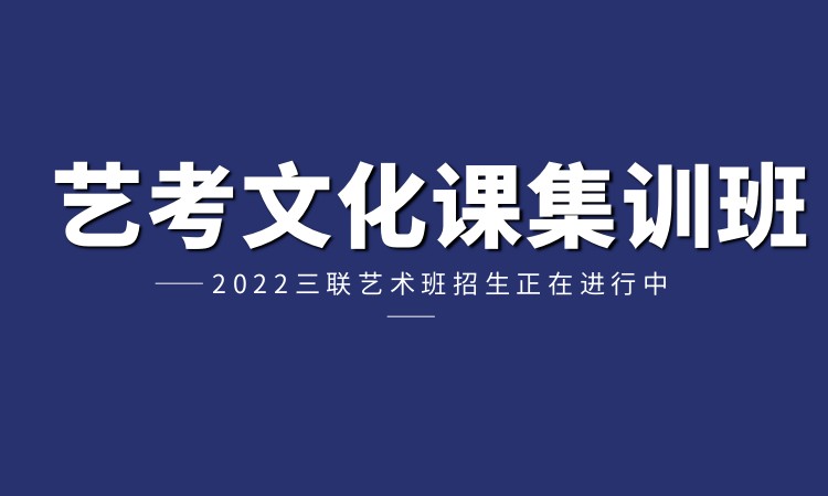 社会浙江艺考美术特长生文化课集训班