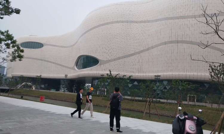 中国国际动漫节游学