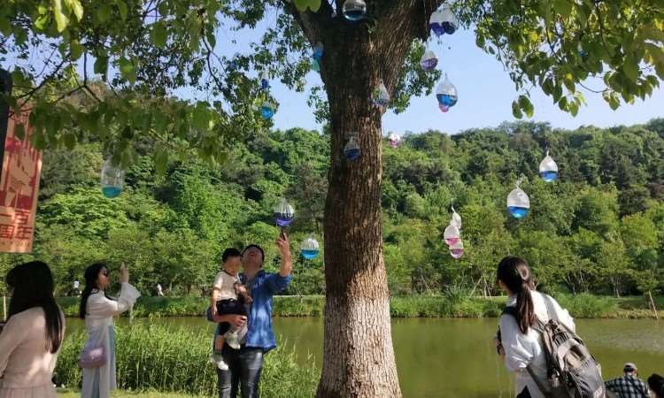 中国国际动漫节游学