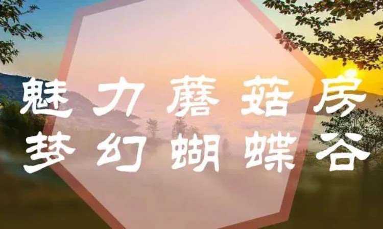 石家莊素質(zhì)夏令營