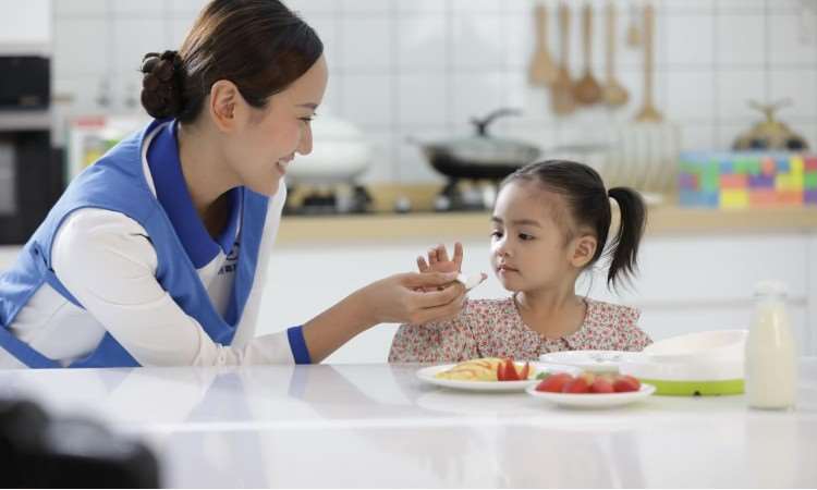 深圳輔食培訓