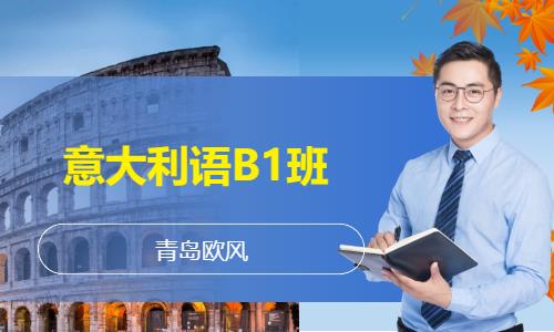 青岛学习意大利语培训中心