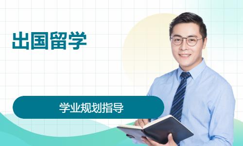 境外留學申請學業(yè)規(guī)劃指導