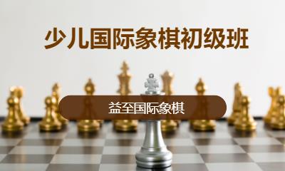 少兒國際象棋初級班