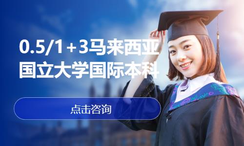 0.5/1+3马来西亚国立大学国际本科