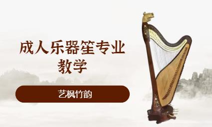 石家莊成人樂器笙專業(yè)教學(xué)