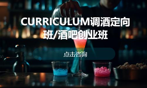 CURRICULUM調(diào)酒定向班/酒吧創(chuàng)業(yè)