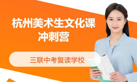 杭州社會(huì)美術(shù)生文化課沖刺營