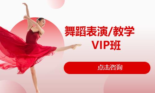 舞蹈表演/教学VIP班