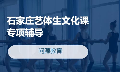 石家莊藝體生文化課專項輔導(dǎo)