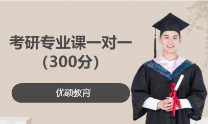 考研專業課一對一（300分）