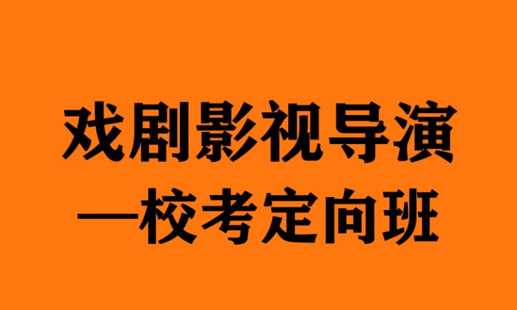 鄭州表演藝考課程