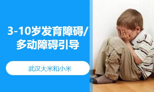 3-10歲發(fā)育障礙/多動(dòng)障礙引導(dǎo)