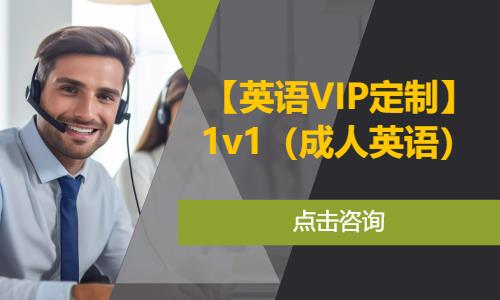 【英语VIP定制】1v1（成人英语）