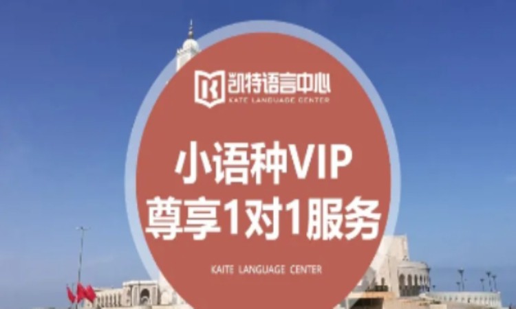 小語種VIP尊享1對1服務