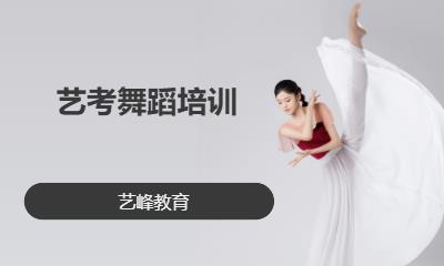 武漢舞蹈藝考培訓(xùn)機(jī)構(gòu)