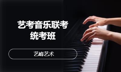 武漢藝考音樂聯考統考班