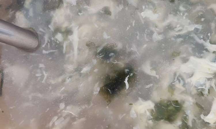 餐饮